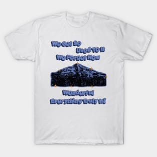 We Get So Used To It We Forget How Wonderful Everything Truly Is T-Shirt